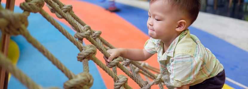 单角子宫试管成功率高吗?