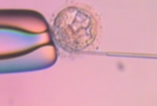 石家庄妇产医院试管婴儿费用解析：2026年费用概览