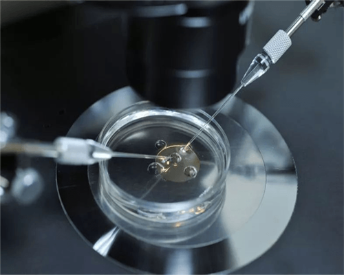 中信湘雅代生双胞胎包儿子移植冻胚费用来袭,走完全流程至少一万元起