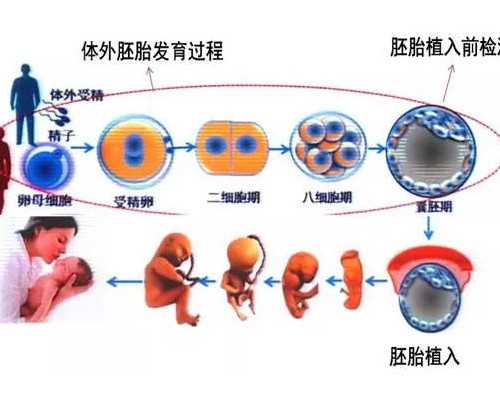 试管代孕生费用,株洲子宫内膜薄做试管要怎么增厚!子宫内膜薄做试管有怎么