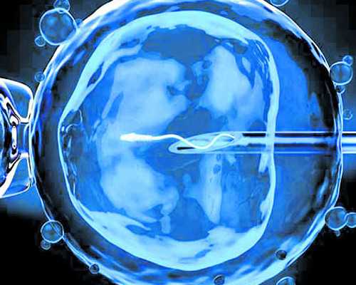 杭州借卵选性别,试管杭州代生,2026浙江省妇幼保健院试管婴儿哪个医生好?附