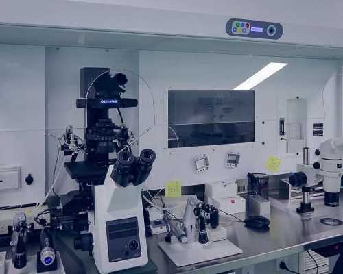 子宫内膜异位影响试管吗[子宫内膜异位]