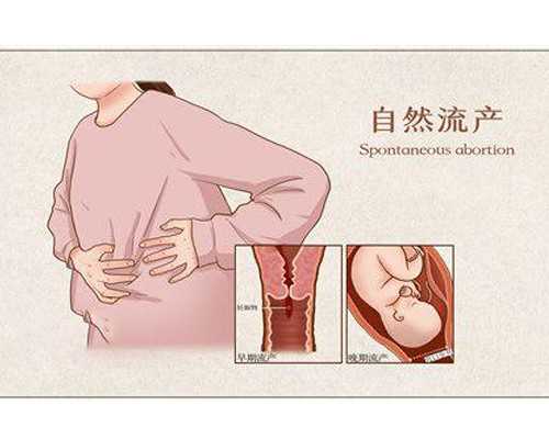 备孕提前看！绵阳中心医院代生女孩产子价格成功率和费用明细看这里
						