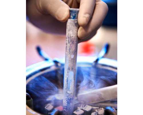 包生男孩包成功_包成功代怀孕网,防止孕期生化的方法是什么？怀孕怎么预防生