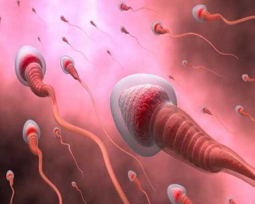 试管保胎一般要花费多少钱