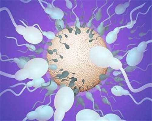 徐州三代代生几次能成功助孕三代代生几次能成功价格