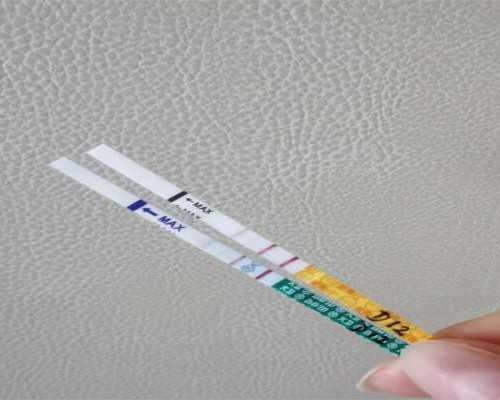 同房后多久能受孕成功