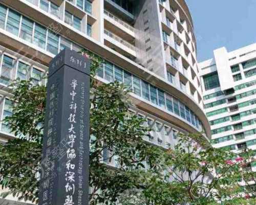 试管代生怀男孩冻胚有什么优点？为什么试管代生怀男孩冻胚