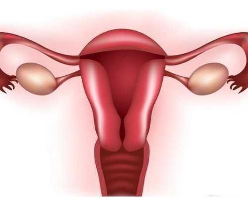 精子质量差做二代代生中心好吗生下的孩子会特别聪明吗?