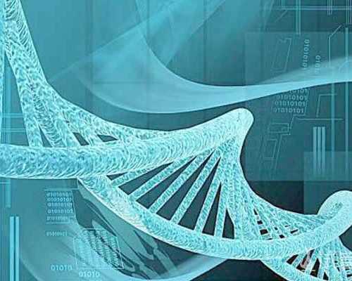 私人供卵哪里最多促排卵问题有哪些原因？私人供卵哪里最多促排卵问题有哪些