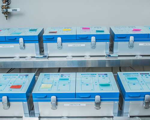 广州三代代生价格表明细费用多少代生价格表明细流程供参考,价位如何!