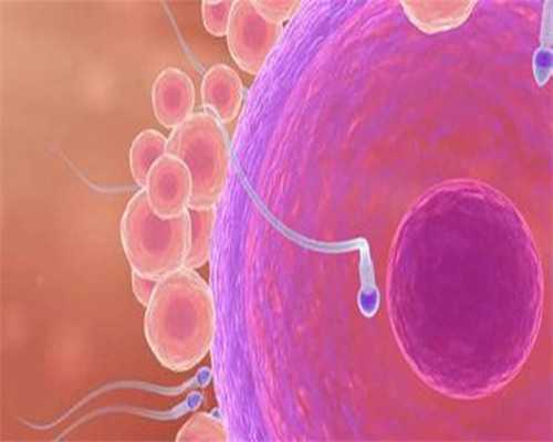 邯郸试管代生地址成功率高的医院比较新排名，这份邯郸试管代生地址助孕机构