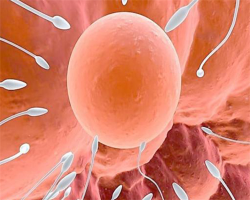 海南代怀生子公司试管代怀哪家强