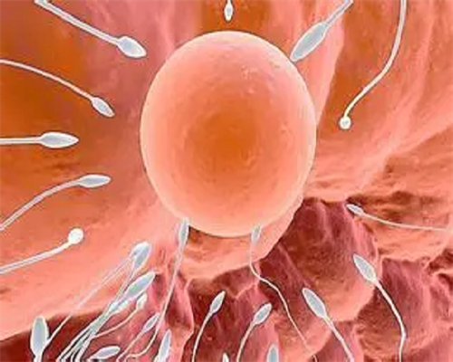 哪个杭州医院供卵,浙江试管婴儿的*率是多少 一代试管费用是多少